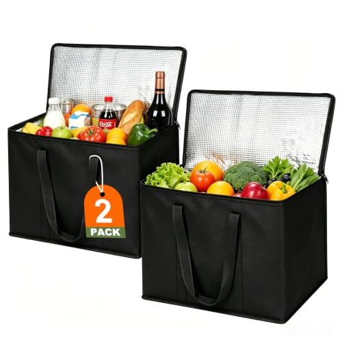 JNYONG 2/4-Pack Insulated Cooler Bags with Zippered Tops