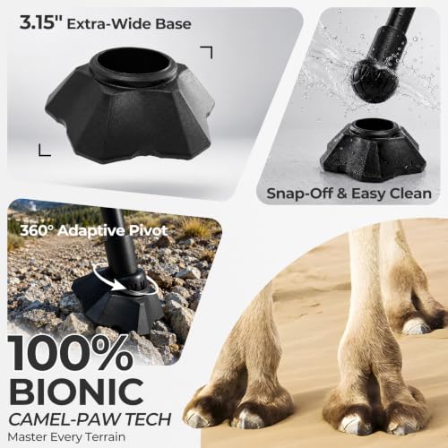 Lightweight Portable Camping Chair for Adults
