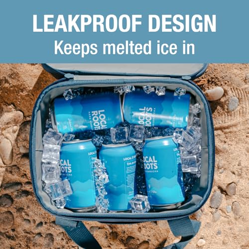 CleverMade Collapsible Leakproof Insulated Cooler Bag